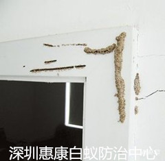 ڻݿρҾӰρ皢