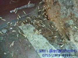 ΰρҪҌ(zhun)I(y)ΰρ˾